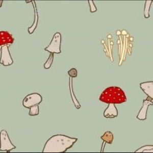 Meet your Posher, Brae